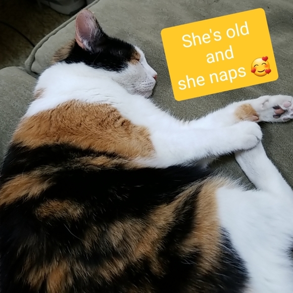 Meet your Posher, Leslie, POSH AMBASSADOR 💜 - Picture 9 of 10